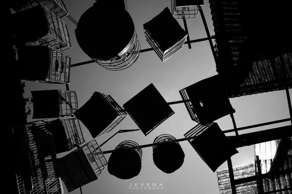 FadeyJevera Fadey Jevera 1 Nov Qwordsdotcom Sangkar Kelas Atas QPhotoCompetition