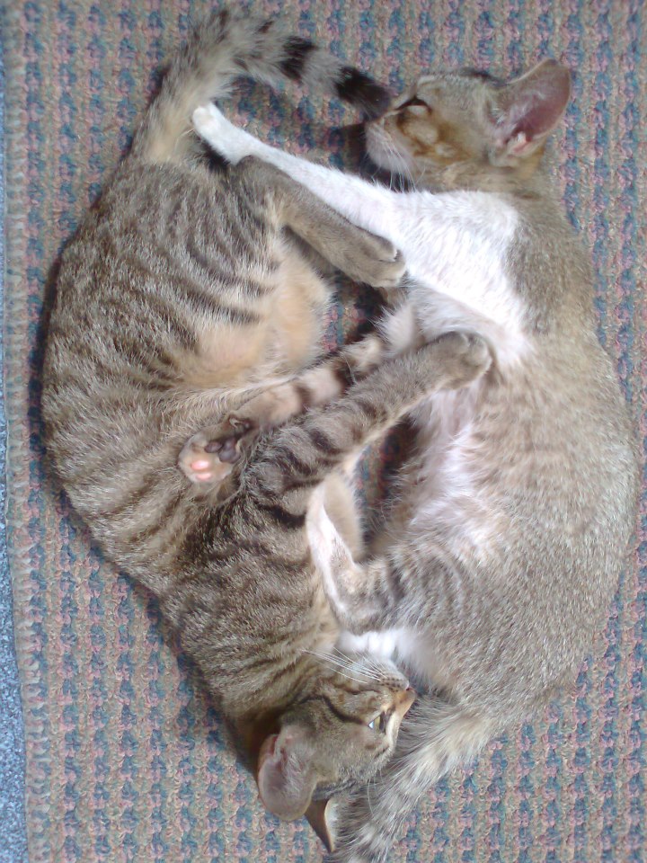 Rizki Harpan Riady yin yang #QPhotoCompetition 7DES