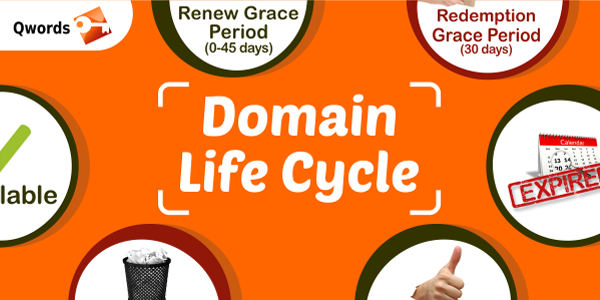 domainlife