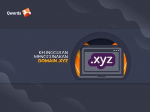 Domain XYZ: Pengertian, Keunggulan dan Kekurangan, Contoh