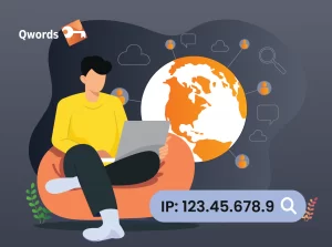 Pentingnya Cek IP Domain, Simak Caranya Berikut Ini!