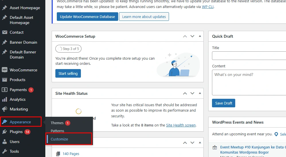 Menu Appearance Customize pada WordPress