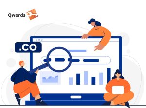 Domain .CO, Pilihan Ekstensi Domain yang Mudah Diingat!