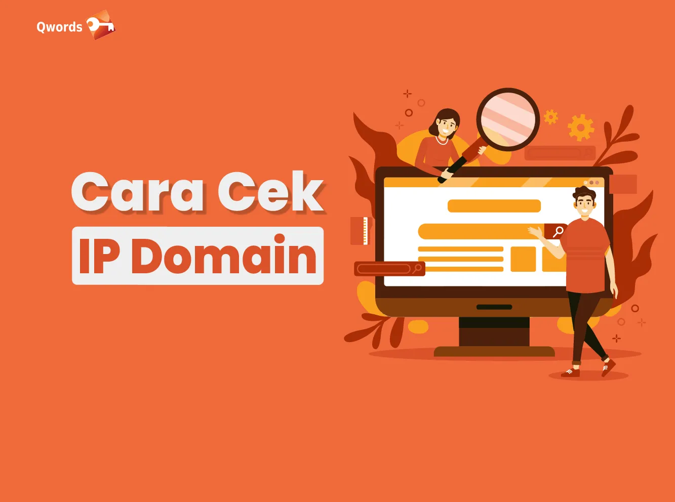 cara cek ip domain