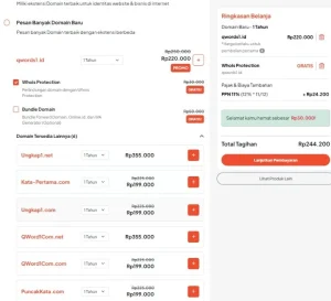 Pembayaran Domain Qwords yang sudah dipesan